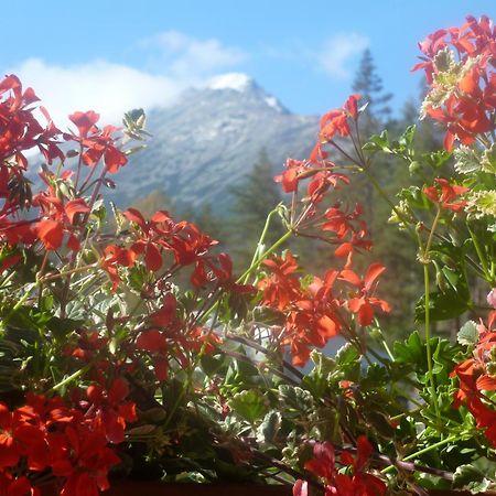 Erika Penzion Vysoké Tatry Dış mekan fotoğraf