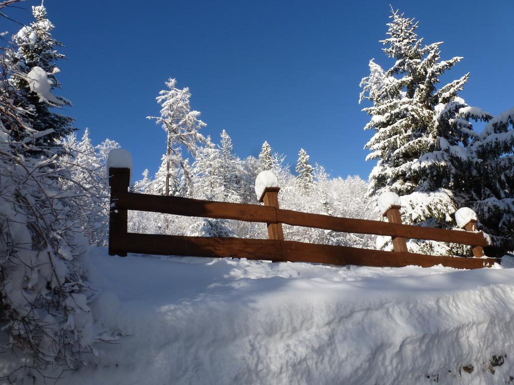 Erika Penzion Vysoké Tatry Dış mekan fotoğraf